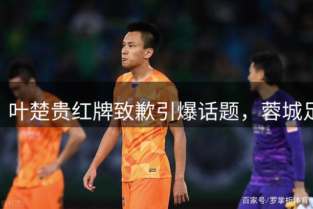 叶楚贵红牌致歉引爆话题，蓉城足协杯出局引主帅更替猜测