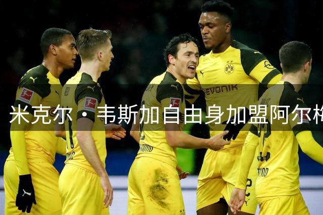米克尔·韦斯加自由身加盟阿尔梅里亚：经验与年轻的碰撞，西甲新赛季的战术新篇章